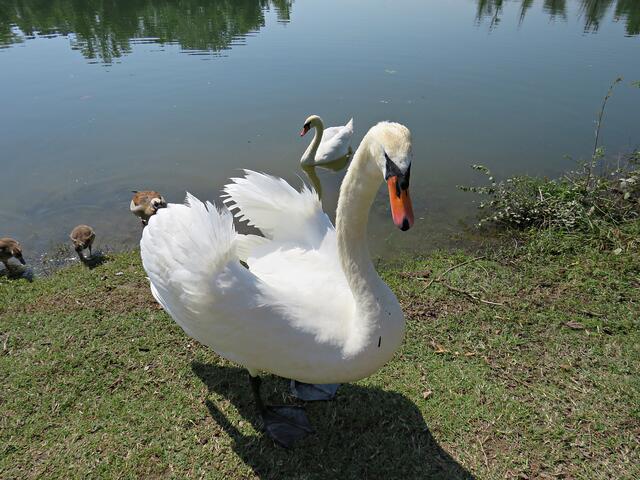 Impressionen | Foto: Brigitte Melder