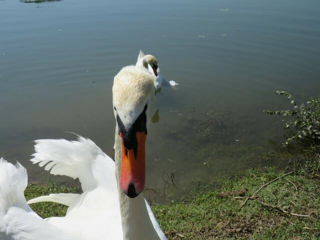 Impressionen | Foto: Brigitte Melder