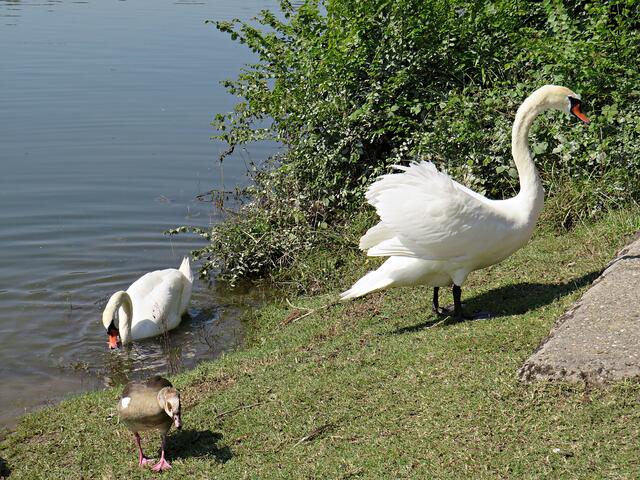 Impressionen | Foto: Brigitte Melder