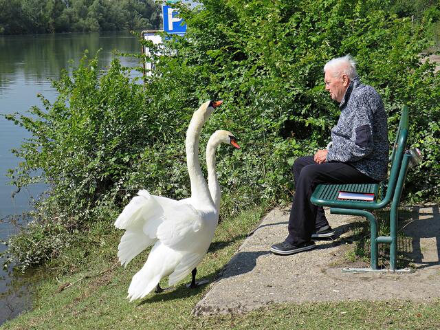 Impressionen | Foto: Brigitte Melder