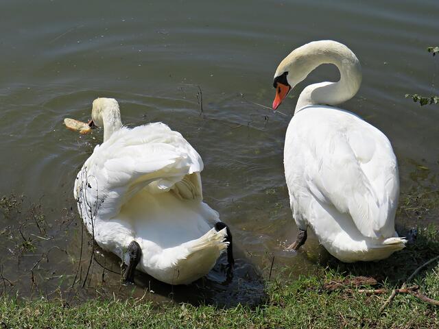 Impressionen | Foto: Brigitte Melder