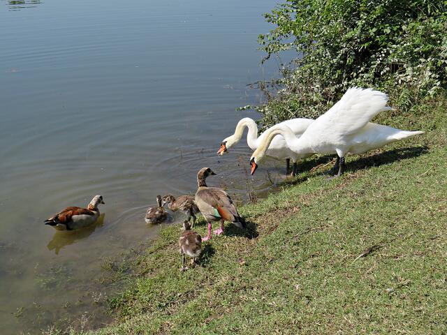 Impressionen | Foto: Brigitte Melder