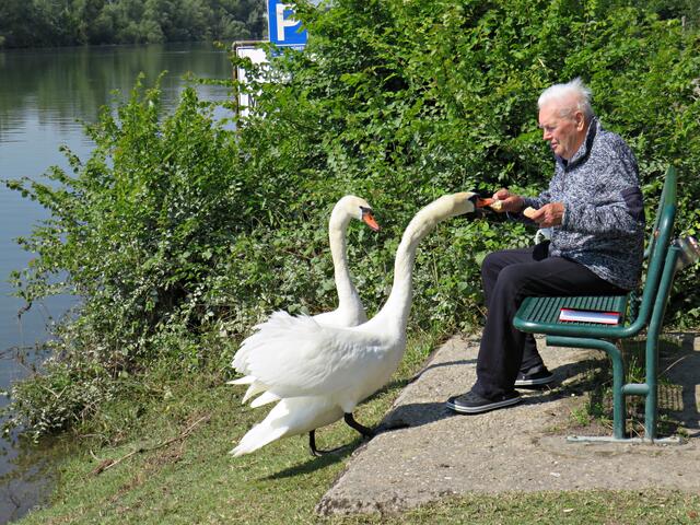 Impressionen | Foto: Brigitte Melder