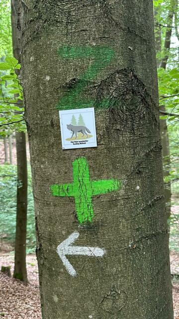 Markierung  | Foto: C. Eicher