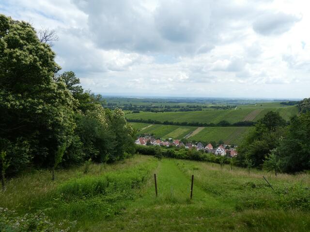 Ausblick von der Kolpinghütte | Foto: Ich