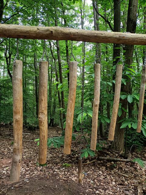 Waldxylophon | Foto: Ich