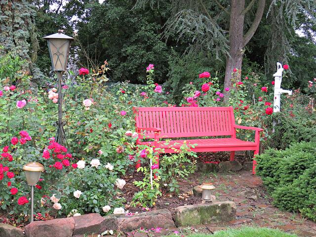 Gemütliche Bank inmitten der Rosen | Foto: Brigitte Melder