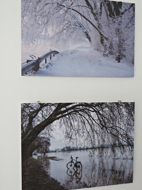 Fotoausstellung | Foto: Brigitte Melder