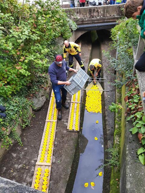 Entenrennen | Foto: Ortsgemeinde Westheim