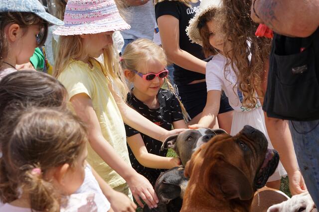 Die Besucher lernen bei der Beach Party auch die Schützlinge kennen, die im Tierheim Animal Sunshine Farm leben | Foto: Kai Zöller/Tierrettung Kindsbach