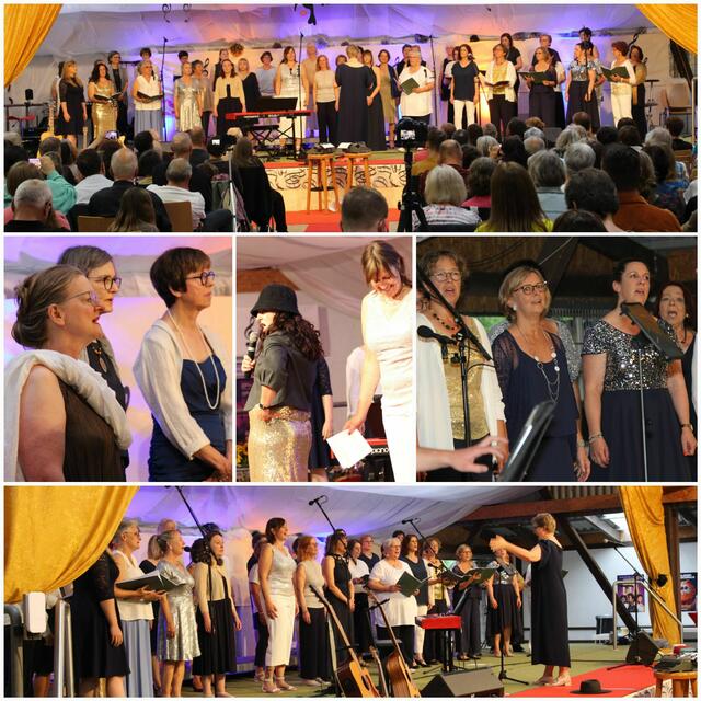 Ein Abend voller Glanz und Harmonie und vollbesetztem Saal. | Foto: All Cantare