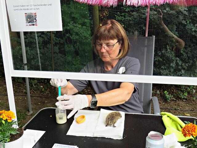 Impressionen | Foto: Brigitte Melder