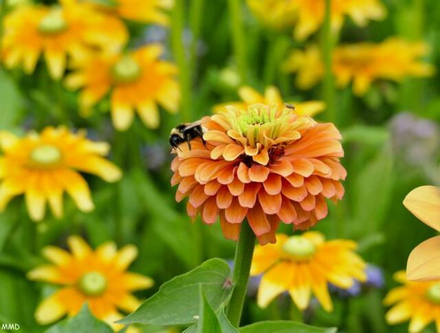 Zoo Karlsruhe | Foto: Marlene Deck