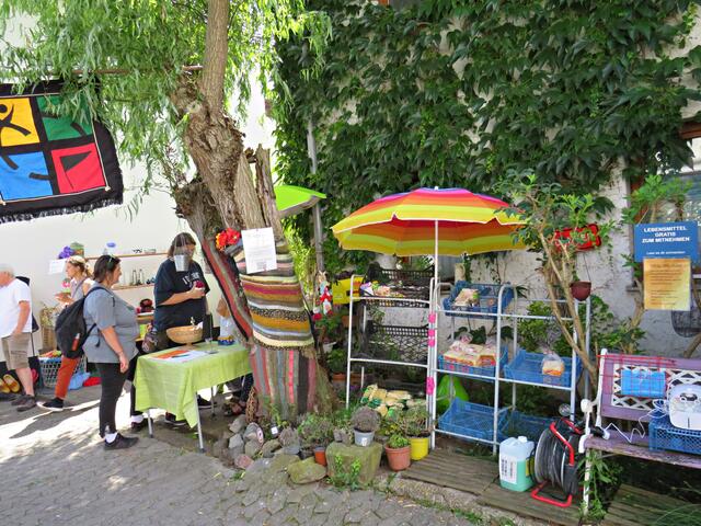 Der umstrickte Baum | Foto: Brigitte Melder