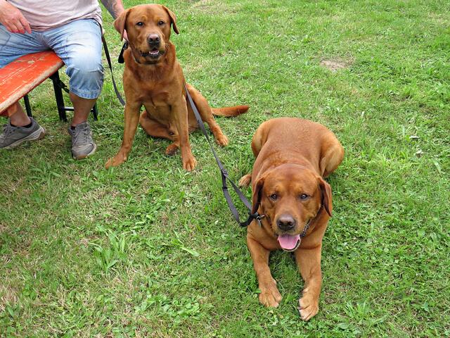 Father &amp; Son (Diego und Ragnar) | Foto: Brigitte Melder