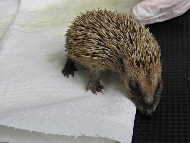 Impressionen | Foto: Brigitte Melder