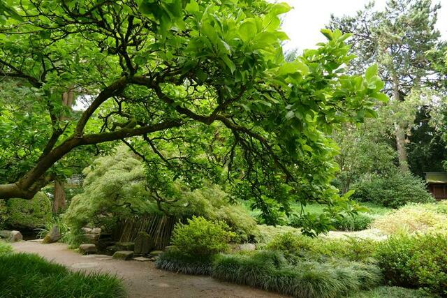 Zoo Karlsruhe | Foto: Marlene Deck