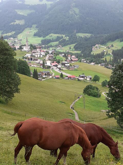 Blick auf Mittelberg | Foto: Walter Fromkorth