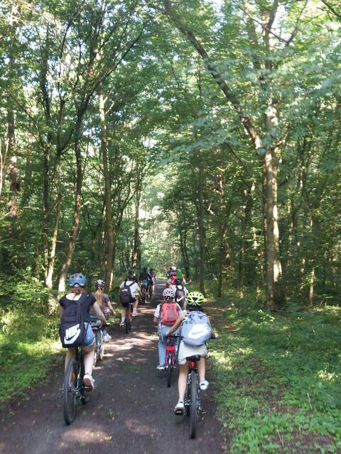 Kühlung bei heißen Temperaturen | Foto: HBG