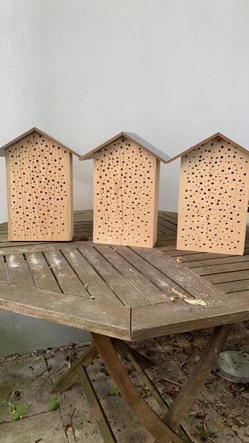 Die Golfer haben selbst Insektenhotels gebaut | Foto: Ulrich Frankenberger