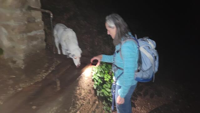 Auf dem Weg zum Wildsaukopf gibt's frisches Quellwasser für durstige Kehlen | Foto: Markus Pacher