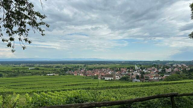 Ausblick auf Schweigen Rechtenbach | Foto: C. Eicher