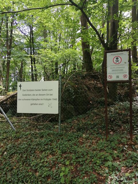 Westwallbunker | Foto: Ich