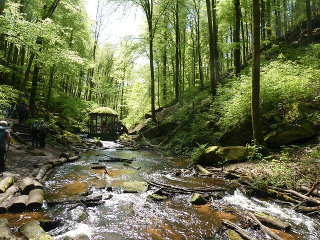 Wild romantische Karlstalschlucht | Foto: Heinrich Schneider