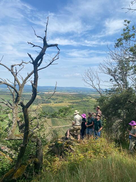 Zu Besuch im Wald am Lemberg - Blick auf die Naheweinberge  | Foto: Gemeinde Feilbingert 