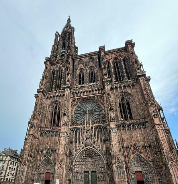 Münster | Foto: Ich