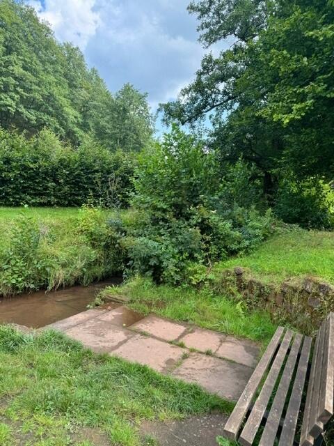 Das Naturbecken ist zum Planschen geeignet | Foto: Carmen Winter