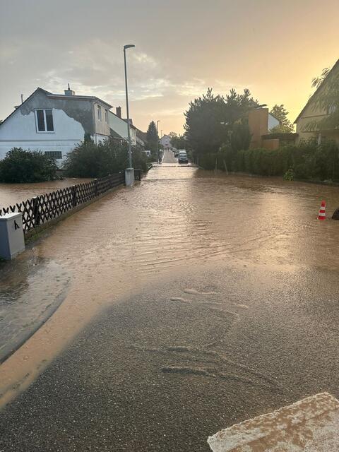 Überschwemmung durch Gewitter in Minfeld und Freckenfeld | Foto: Schäfer / Feuerwehr VG Kandel
