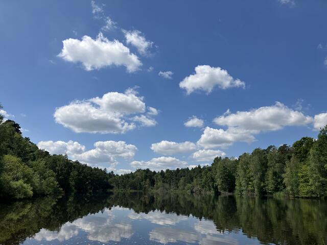 Der Blick über den Vogelwoog ist einen Ausflug wert | Foto: Stephanie Walter