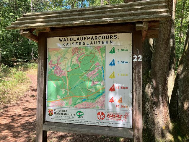 Der Waldlaufparcours bietet interessante Strecken für sportlich Aktive | Foto: Stephanie Walter