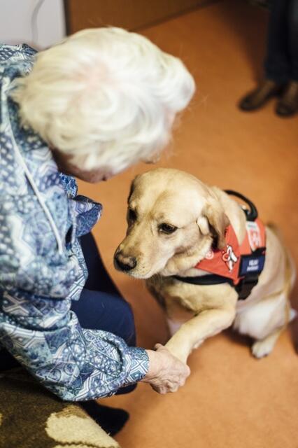 Wer Lust hat, sich gemeinsam mit dem eigenen Hund für andere zu engagieren, kann sich am 19. August über den Malteser Hundebesuchsdienst in Speyer informieren. (Quelle: Malteser) | Foto: Quelle: Malteser