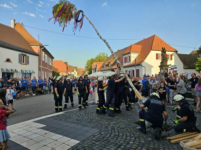 Mit Unterstützung der Feuerwehr wird am Freitagabend der Kerwebaum gen Himmel gerichtet. | Foto: Eva Bender