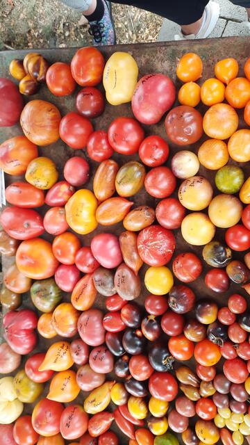 Foto: Kristin Hätterich