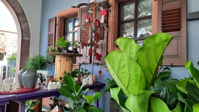 Foto: Kristin Hätterich