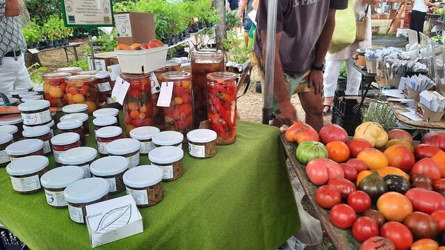 Foto: Kristin Hätterich