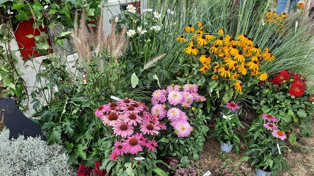 Foto: Kristin Hätterich