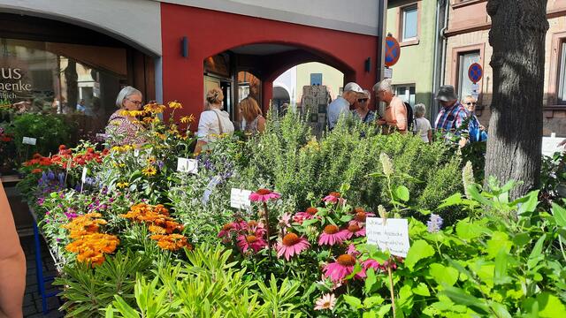 Foto: Kristin Hätterich