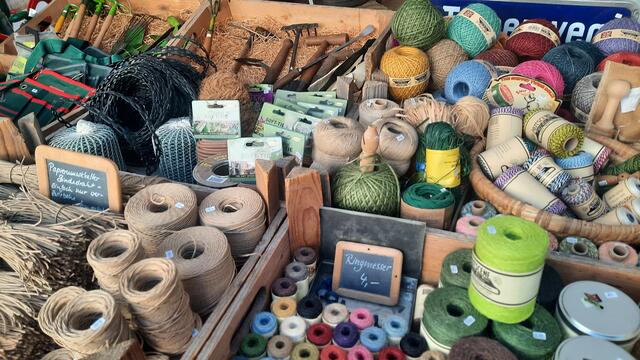 Foto: Kristin Hätterich