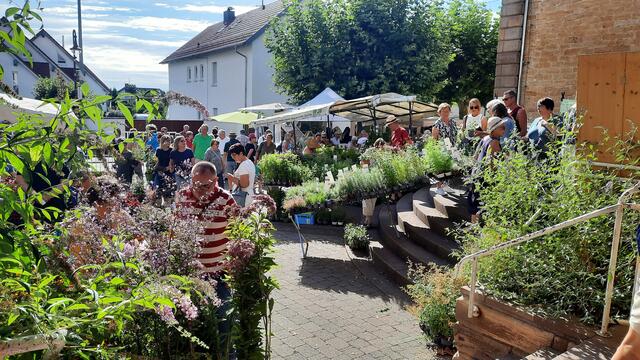 Foto: Kristin Hätterich