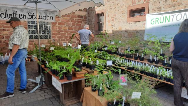 Foto: Kristin Hätterich