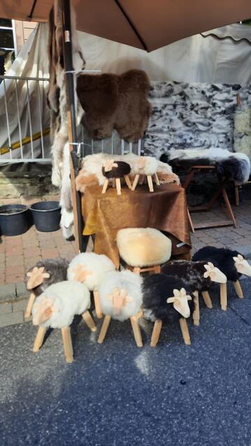 Foto: Kristin Hätterich