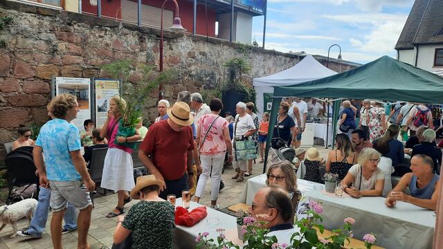 Foto: Kristin Hätterich