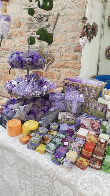 Foto: Kristin Hätterich