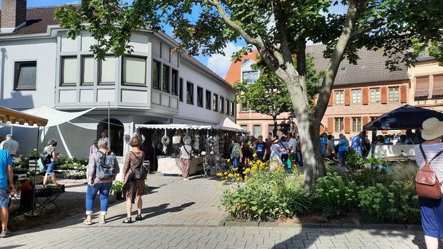 Foto: Kristin Hätterich