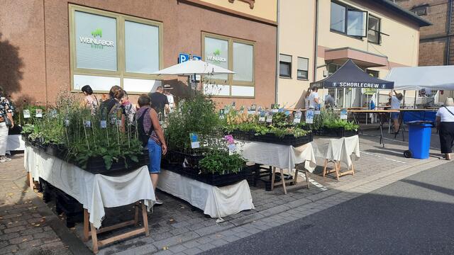 Foto: Kristin Hätterich