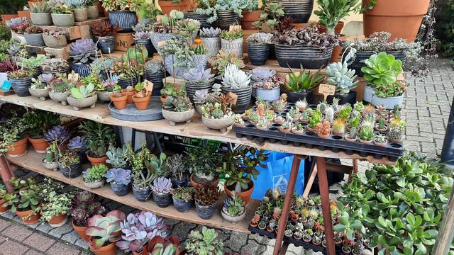 Foto: Kristin Hätterich